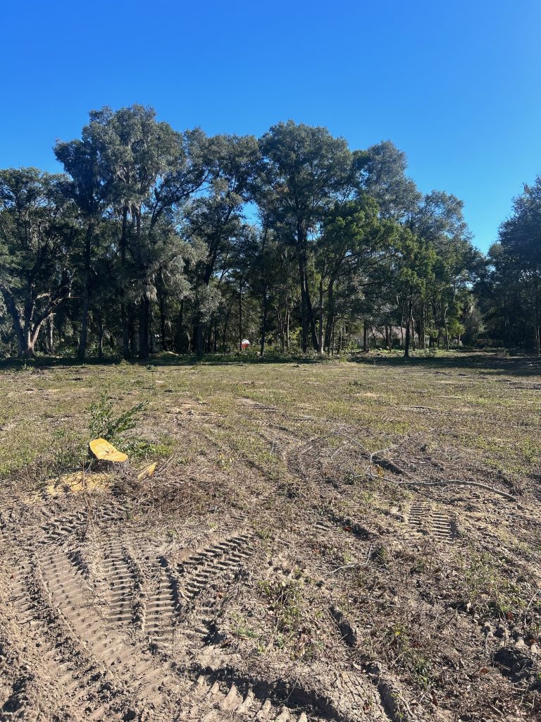 land clearing result