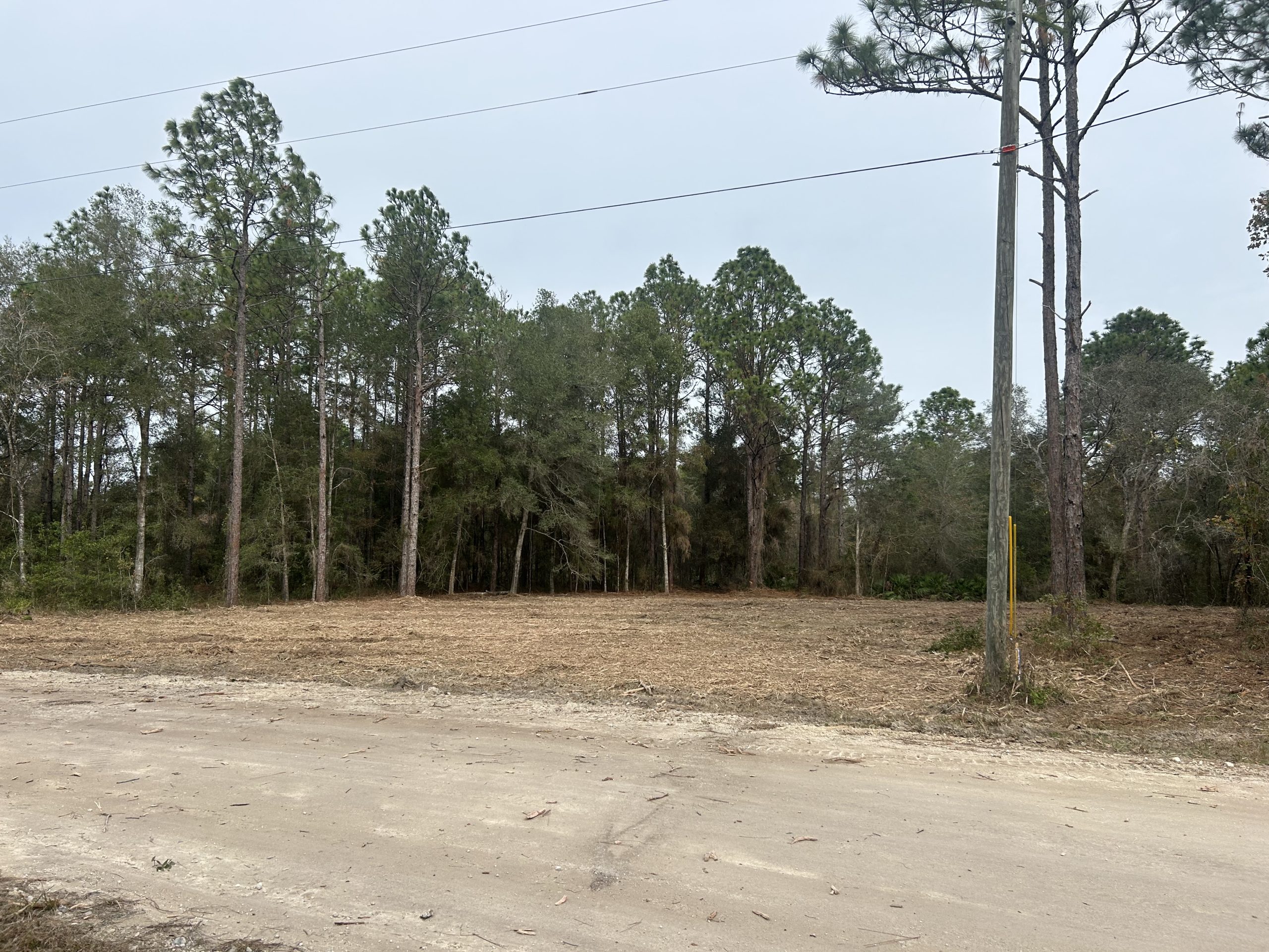 Residential Land Clearing in Ocala